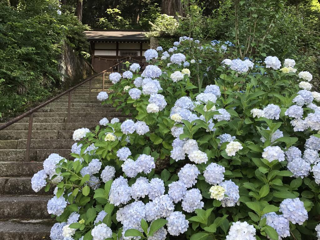 מלון Takayama Ninja House מראה חיצוני תמונה